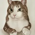 3752f420 6a79 4e3a 9886 12ec9148a90f