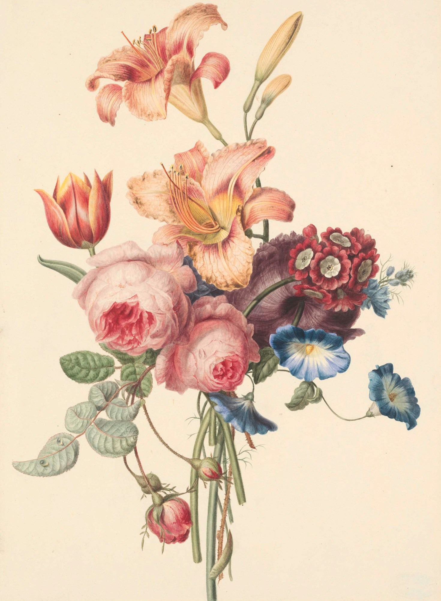 Featured Image 2 1
