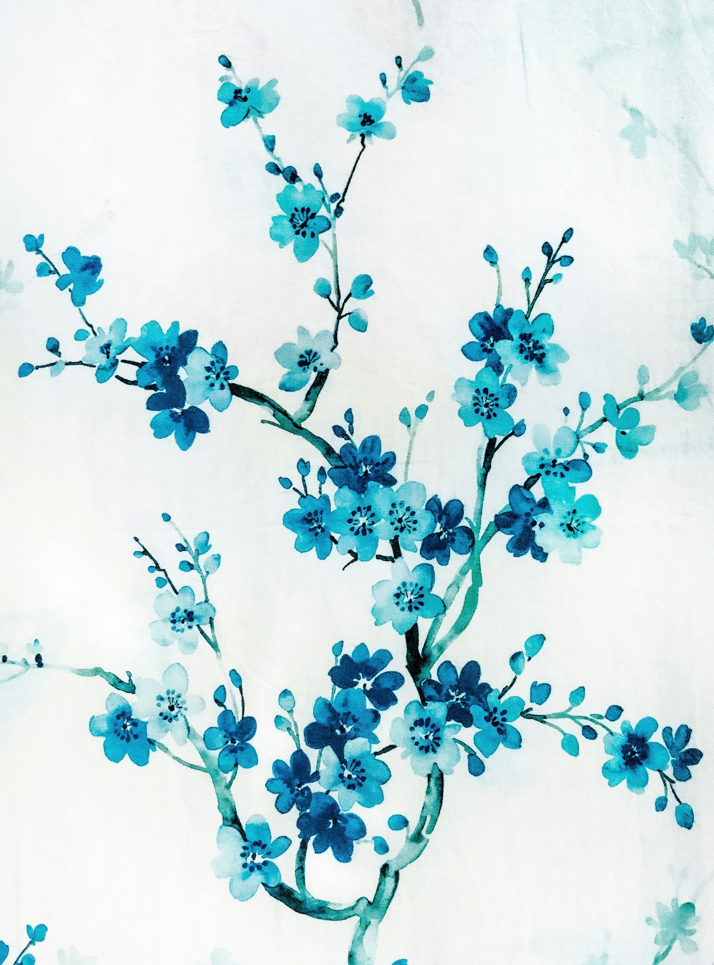 Featured Image 5 1