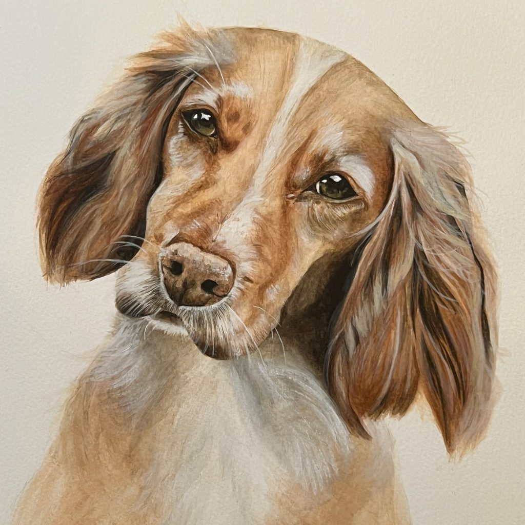 ac5ed4a9 f7b0 4cd4 9a60 e7640fd5ded5